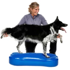 Giant K9Fitbone