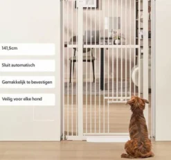 Hondenhek Met Kattenluik
