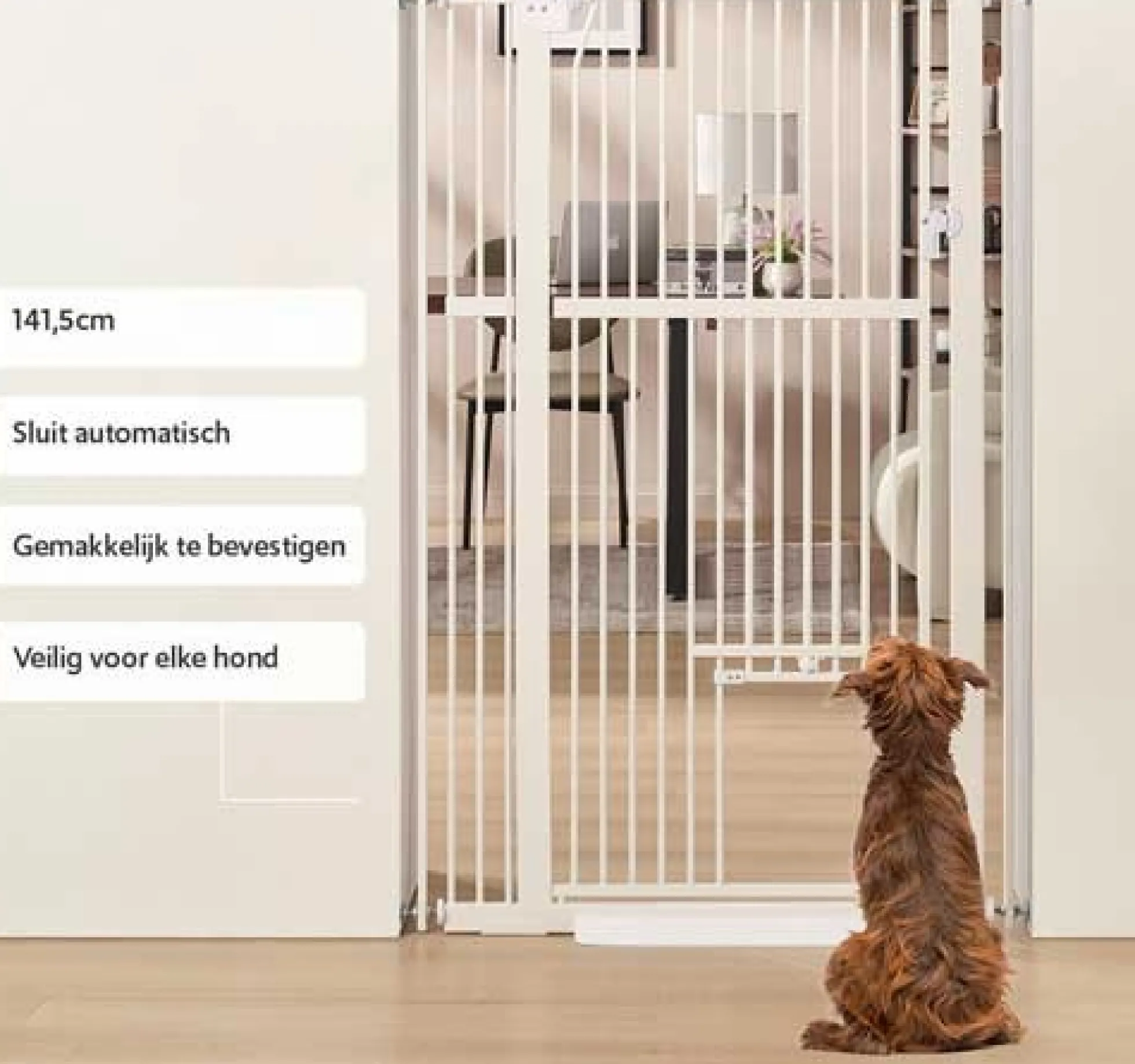 Hondenhek Met Kattenluik