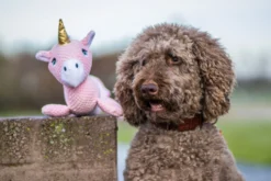 Hondenknuffel Dog Unicorn XXL