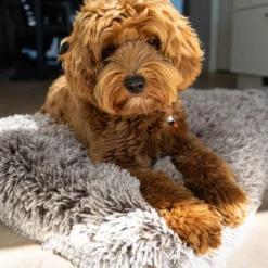 Hondenkussen Cuddle Bruin/Beige