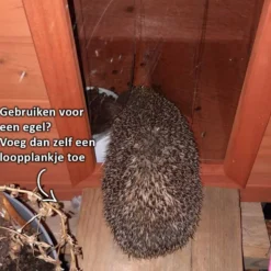 Kattenhuis Rustica