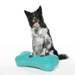 K9FITbone