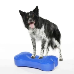 K9FITbone