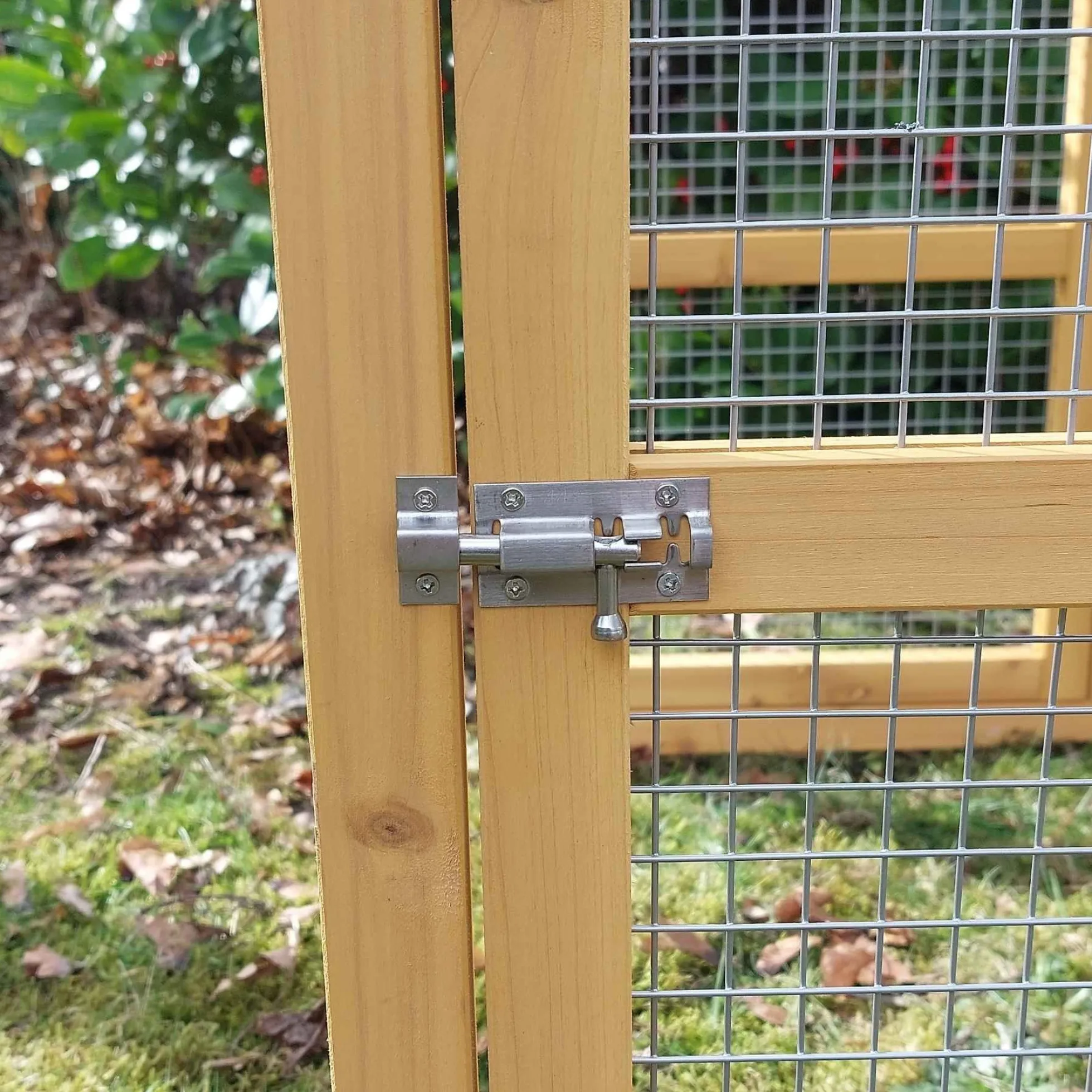 Kippenren Natura Premium