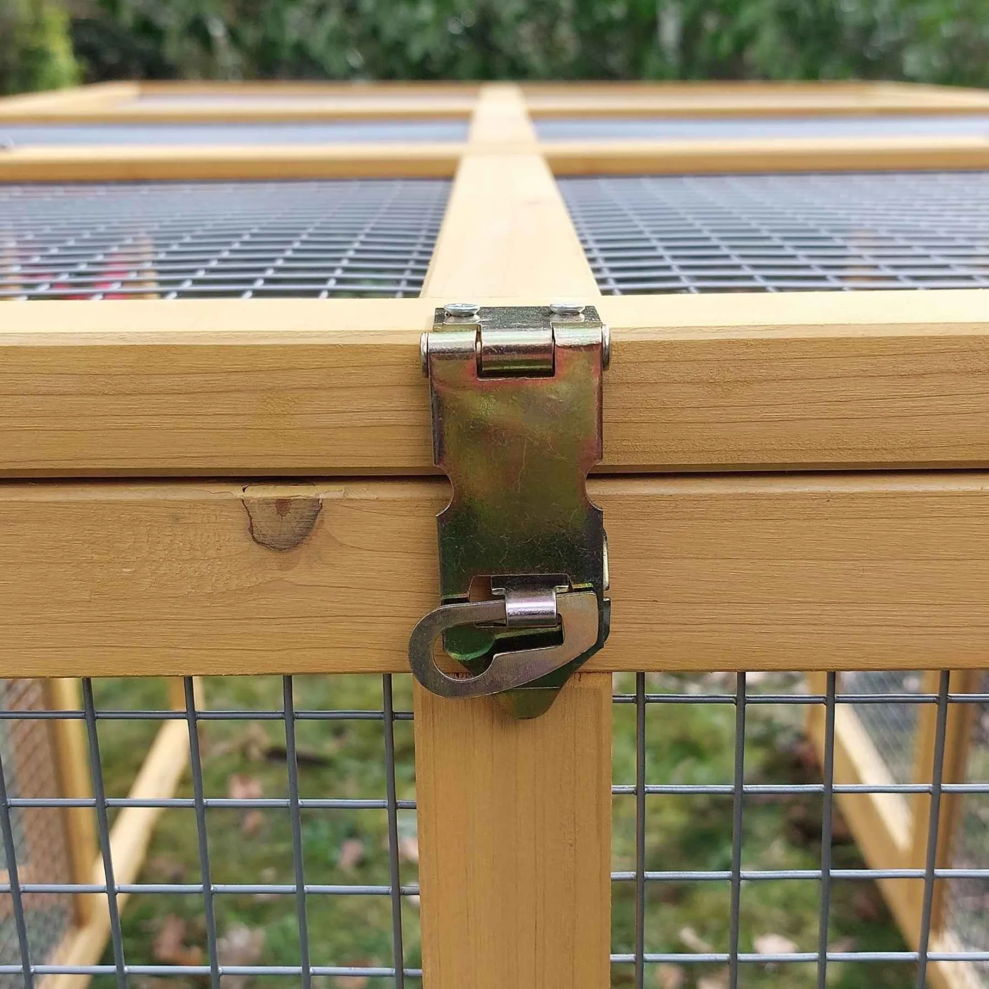 Kippenren Natura Premium