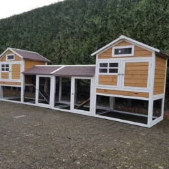 Konijnenhok Belize Duo met ren