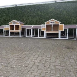 Konijnenhok Belize Duo met ren XL