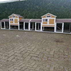 Konijnenhok Belize Duo met ren XL