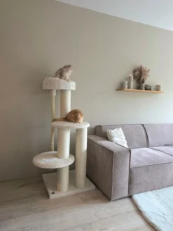 Krabpaal Sturdy Beige
