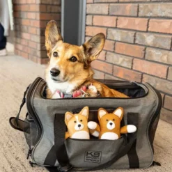 K9 Sport Sack Karry-On Reistas