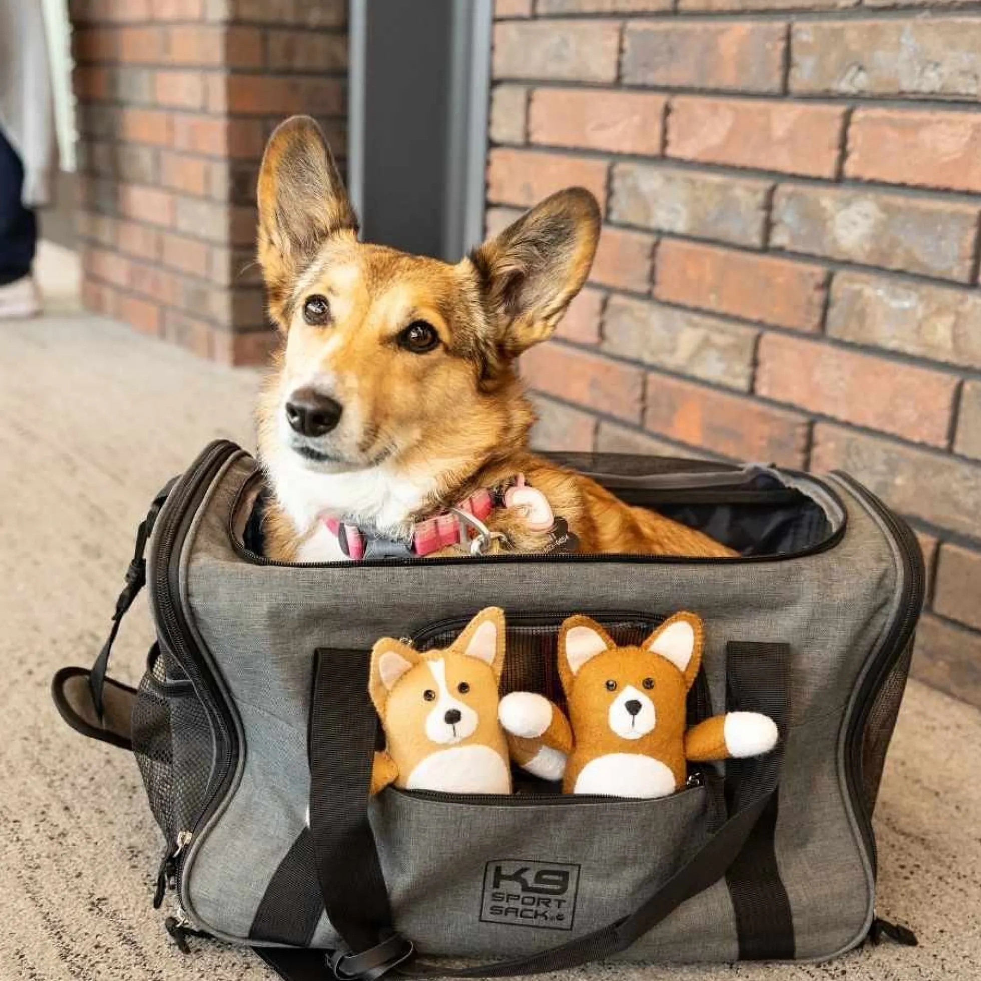 K9 Sport Sack Karry-On Reistas
