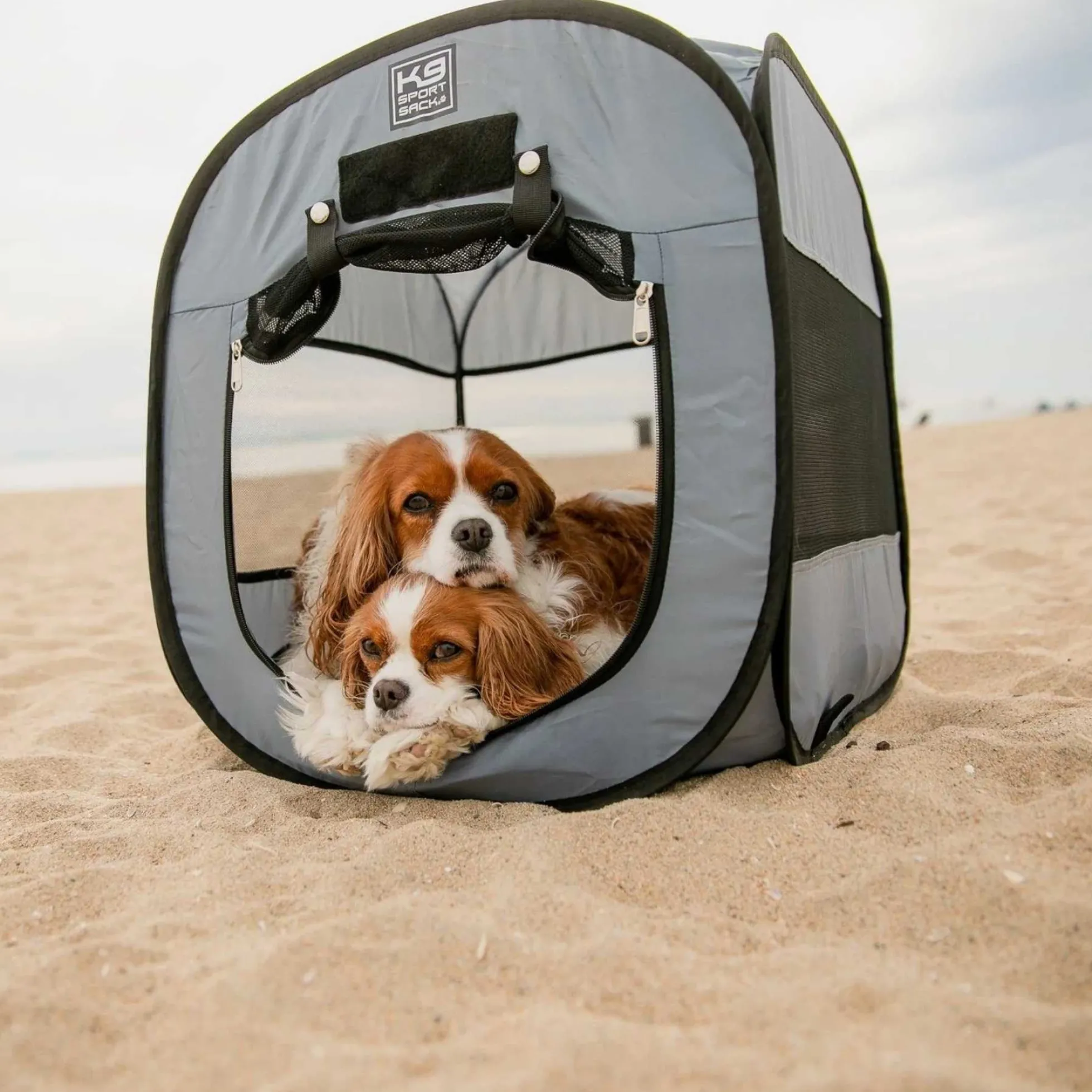 K9 Sport Sack Pop-up Tent