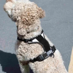 K9 Sport Sack® Quick-Release Harnas
