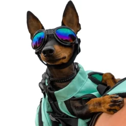 K9 Sport Shades - Hondenbril Zwart