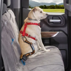 Kurgo Autogordelbevestiging voor Honden Oranje