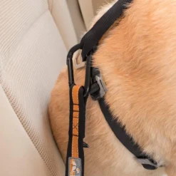 Kurgo Autogordelbevestiging voor Honden Oranje