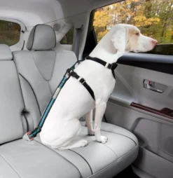 Kurgo Autogordelbevestiging voor Honden Oranje