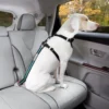 Kurgo Autogordelbevestiging voor Honden Coastal Blue