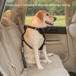 Kurgo Autogordelbevestiging voor Honden Coastal Blue