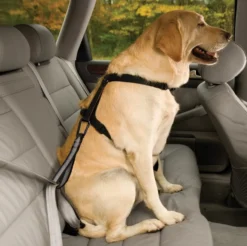Kurgo Autogordel Tussenstuk voor Honden