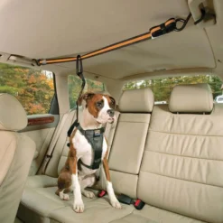 Kurgo Auto Zip Line voor honden
