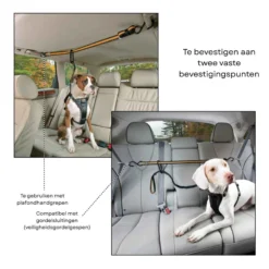Kurgo Auto Zip Line voor honden