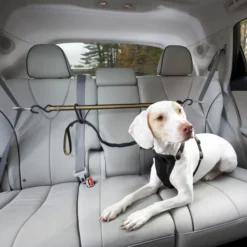 Kurgo Auto Zip Line voor honden