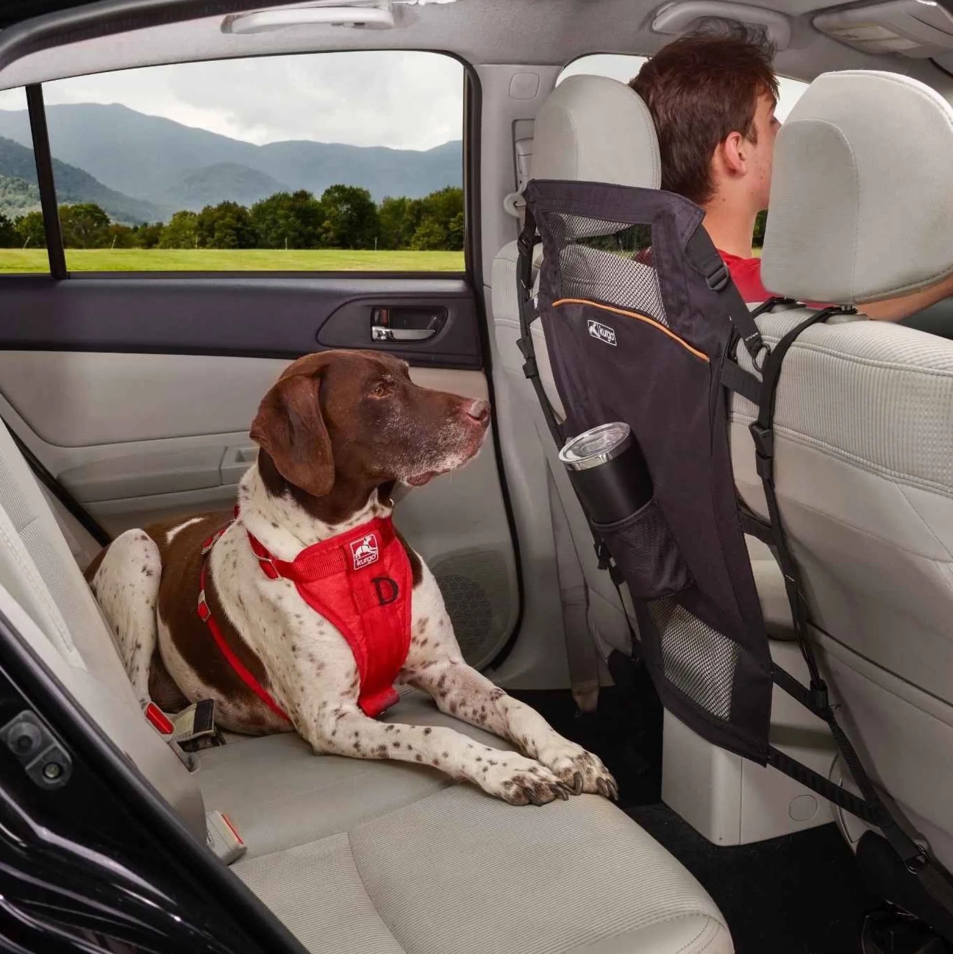 Kurgo Backseat Barrier Hondennet