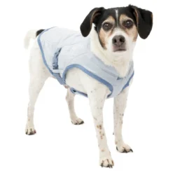 Kurgo Core Koelvest Icy Blue