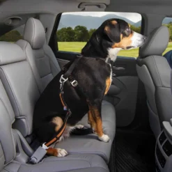 Kurgo Direct to Seatbelt Autogordel Oranje