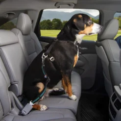 Kurgo Direct to Seatbelt Autogordel Blauw