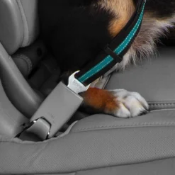 Kurgo Direct to Seatbelt Autogordel Blauw