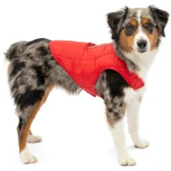 Kurgo Hondenjas Loft Jacket Rood