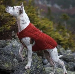 Kurgo Hondenjas Loft Jacket Rood