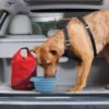 Kurgo Kibble Zak voor Hondenvoer Rood