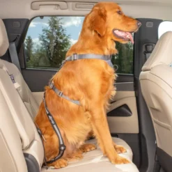 Kurgo Seatbelt Tether with Latch - Autogordel
