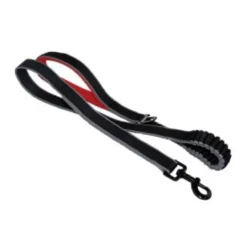 Kurgo Springback leash