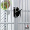 Papegaaienkooi Venus Silvertone White