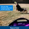 Petsafe automatische ballenwerper