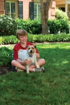PetSafe Blafband Met Geurloze Spray voor Kleine Honden