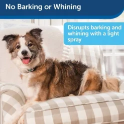 PetSafe Blafband met Spray
