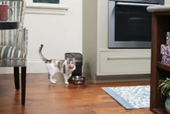 Petsafe Digitaal Automatisch Voersysteem