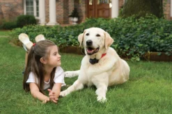PetSafe Draadloos Omheiningssysteem Instant Fence
