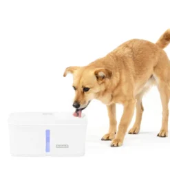 Petsafe Drinkfontein Viva