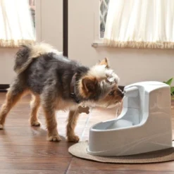 PetSafe Drinkwell Mini Drinkfontein