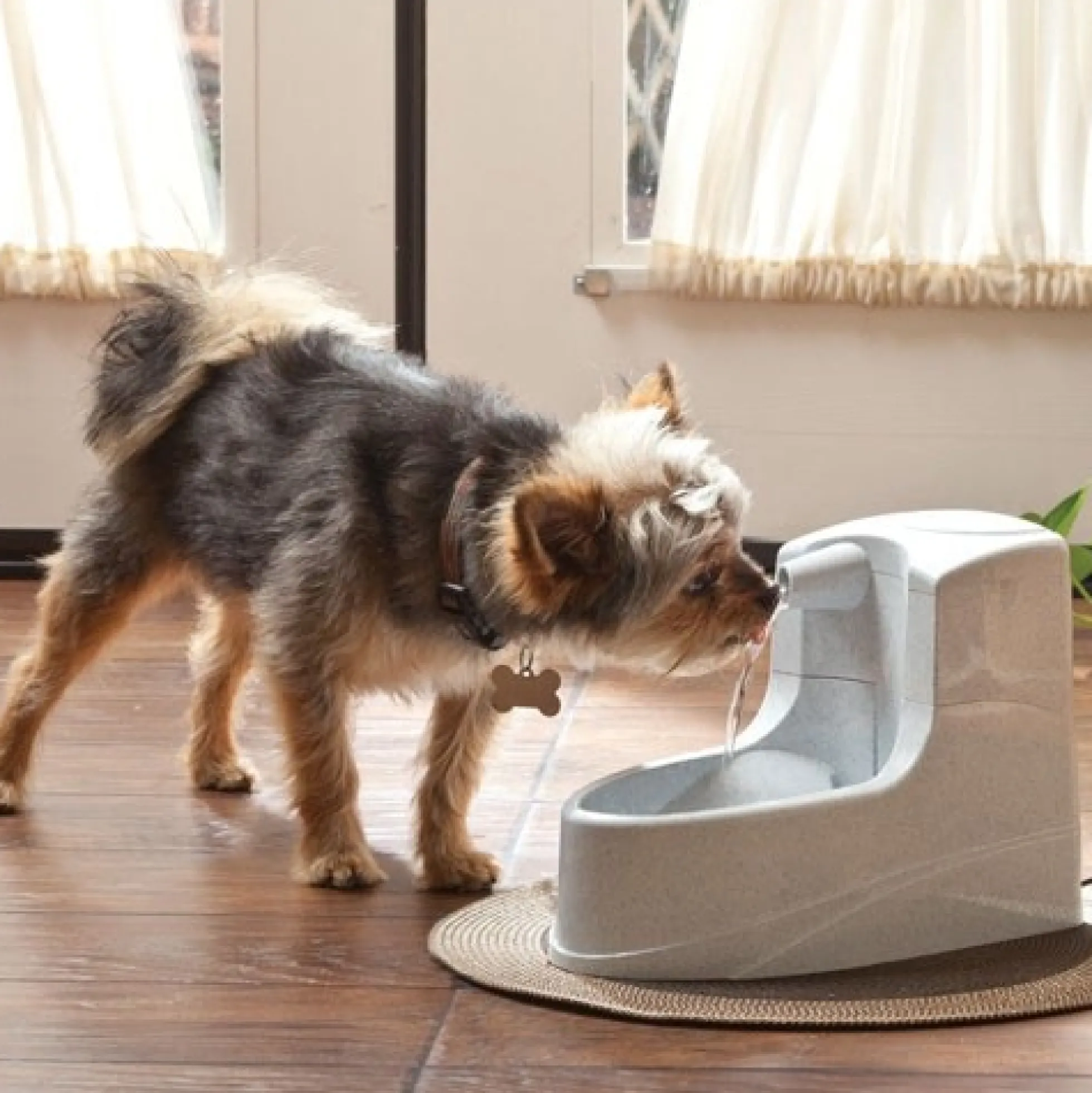 PetSafe Drinkwell Mini Drinkfontein