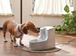 PetSafe Drinkwell Mini Drinkfontein