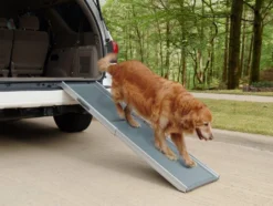 Petsafe Extra Long Telescoping Hondenloopplank