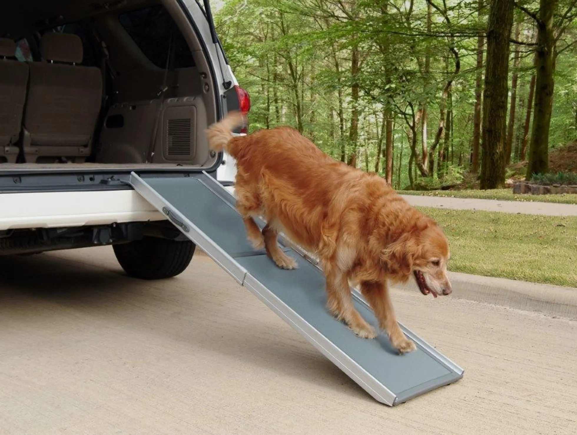 Petsafe Extra Long Telescoping Hondenloopplank
